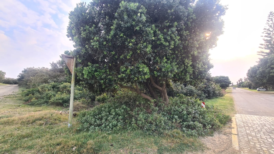 0 Bedroom Property for Sale in Cannon Rocks Eastern Cape